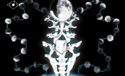 Björk’s Biophilia App-Album Kickstarter Campaign