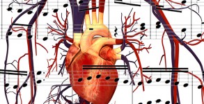 Human_Heart_and_Circulatory_System