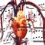 New Apps Let Your Heart Create and Curate Your Music