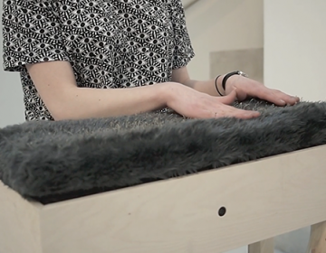 Mew: The Purring, Hissing Sound Art Piece