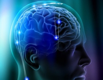 Trending: Your Brain and the State of Musical Preference