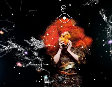 Björk’s Biophilia Joins the Big Leagues of Art and Education